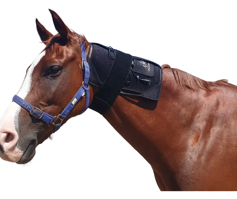 APR Equine Red and Infrared Light Therapy Pad - Image 2